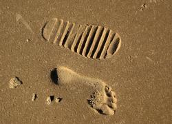 Water footprint: a manual!