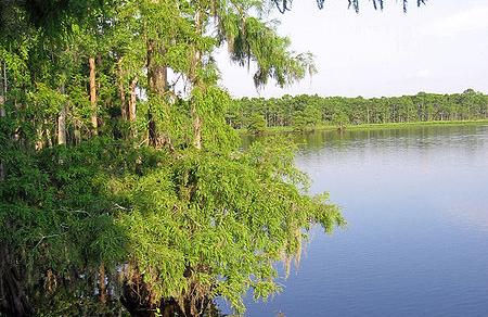 Celebrate National Park Week down in the Bayou